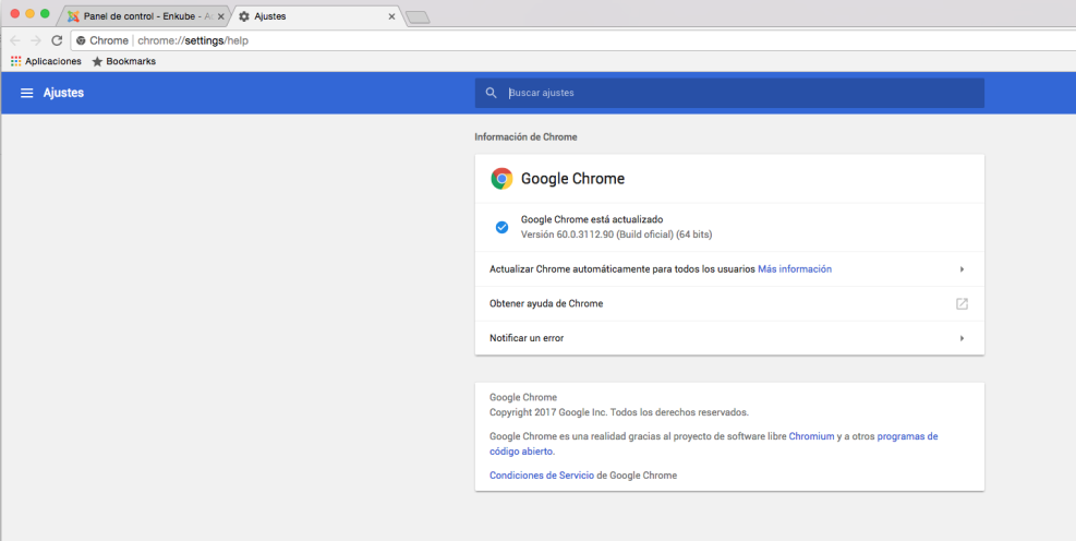 Google browser Official site