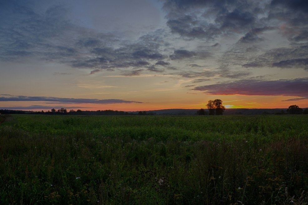 Content without restrictions