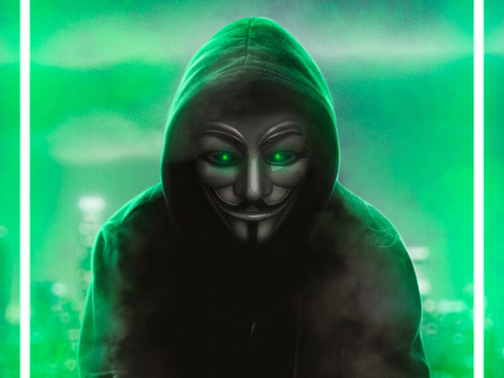 Pictures how anonymus hacks
