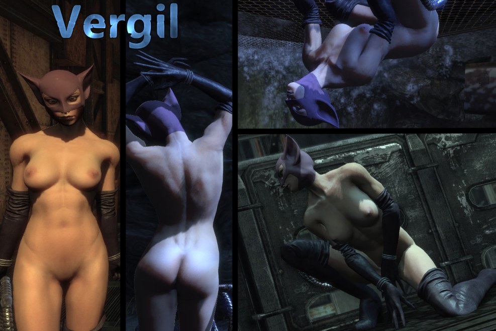 Batman Arkham City Woman Cat Naked