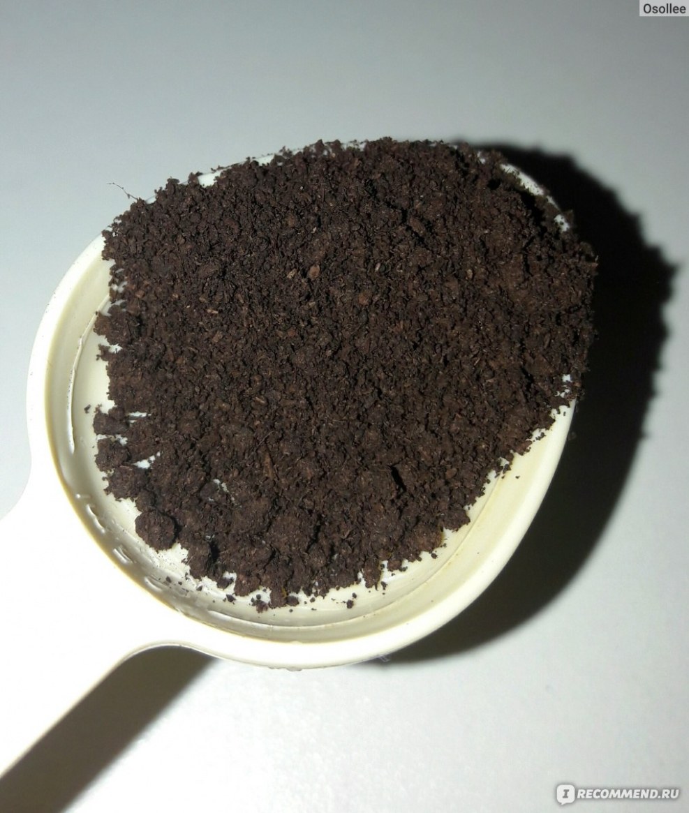 Pferd Curve with bent petals