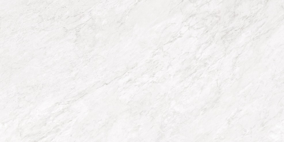 Pony poses from the family