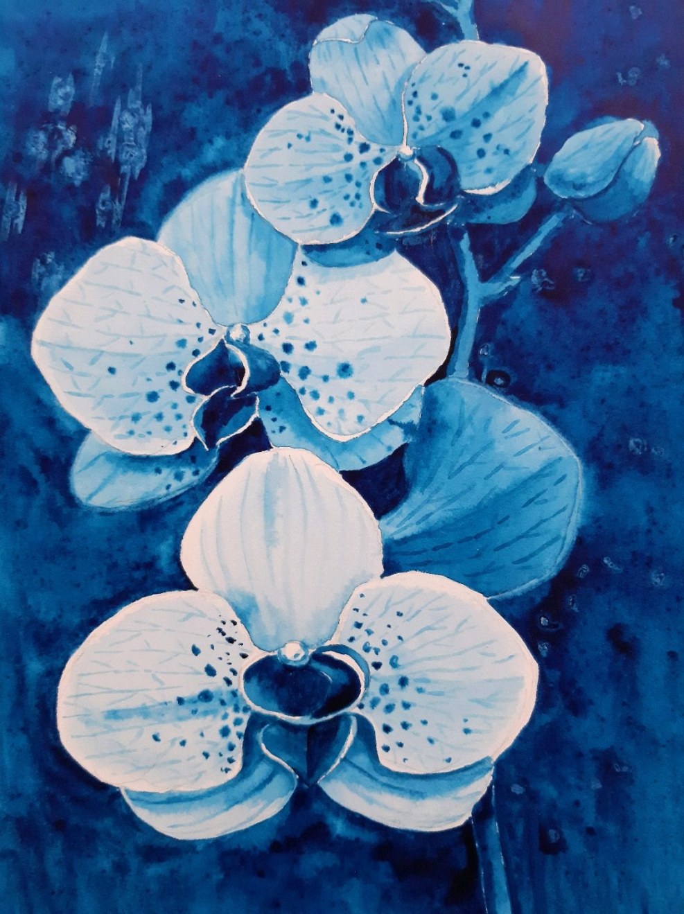 Orchid Blue Clipart