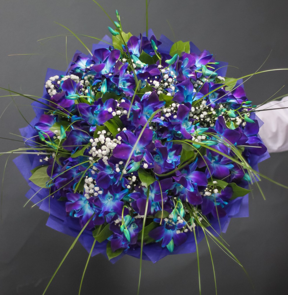 Blue orchid in the form of a heart