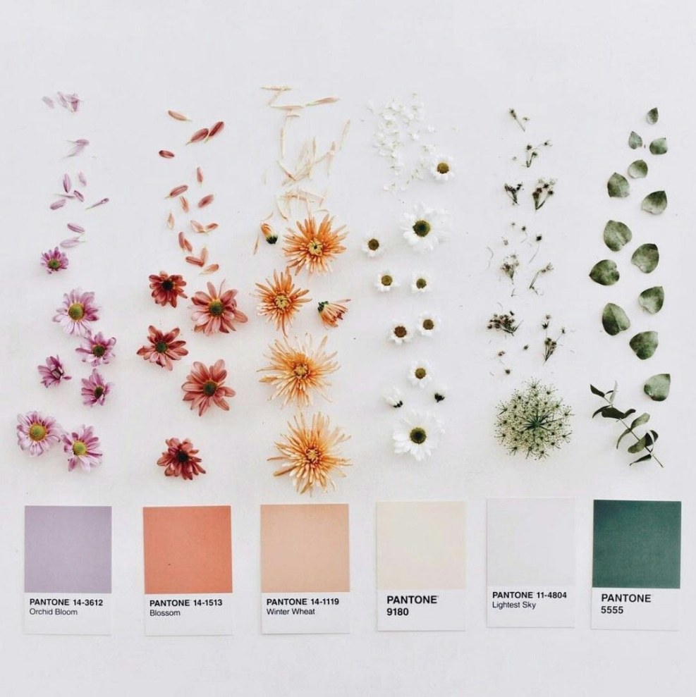 Blue orchids Watercolor