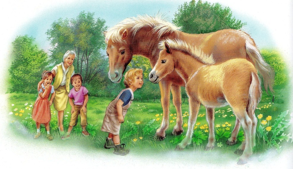 Horse Marseille Marlier