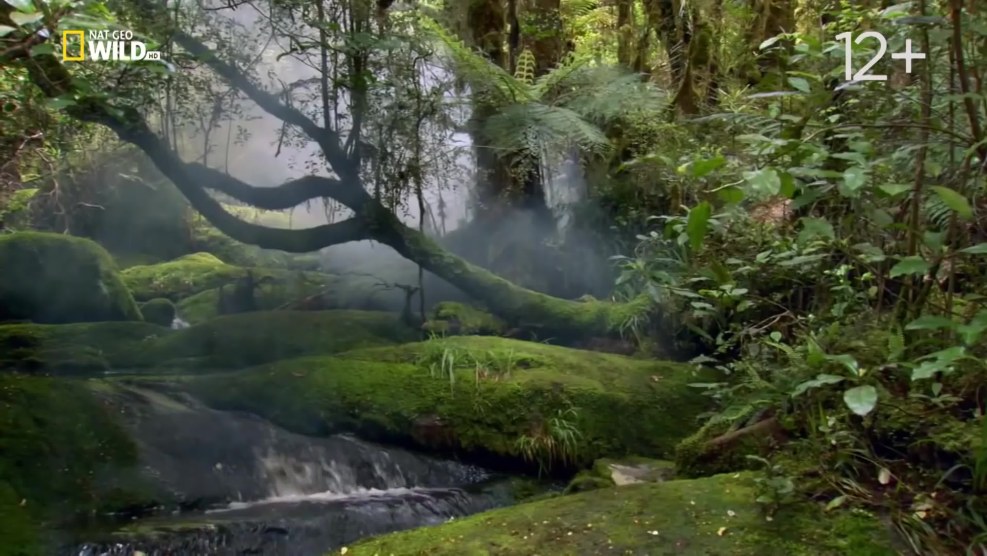 Bianca Kmeriyan Bianca Kmiec