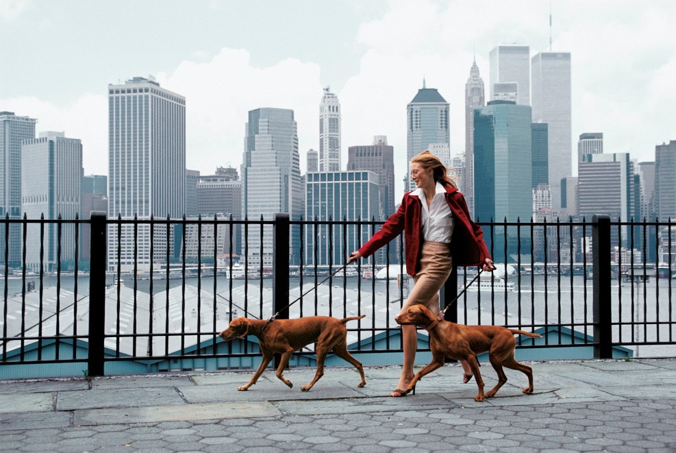 Plan G is mechanized