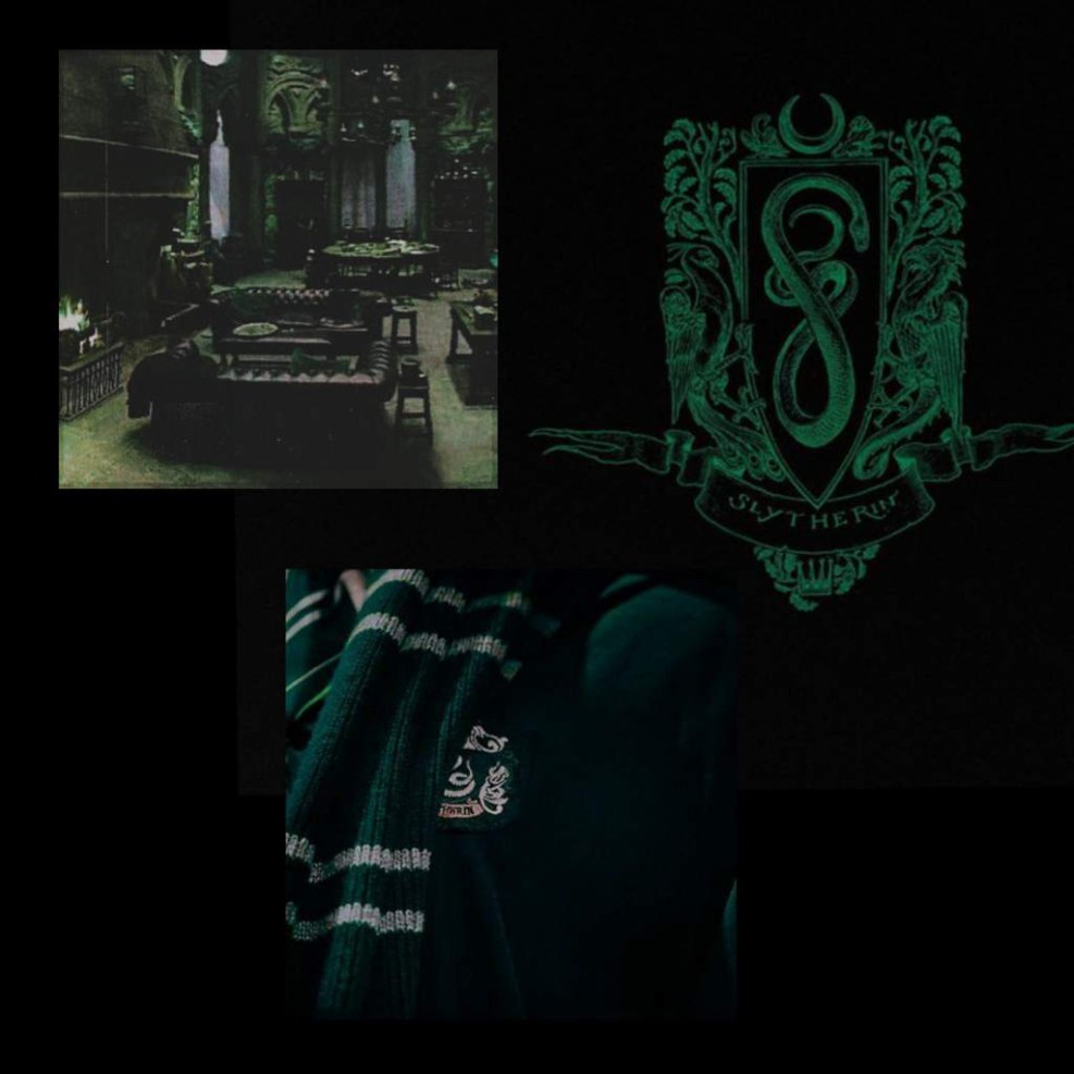 Draco Malfoy aesthetics Slytherin