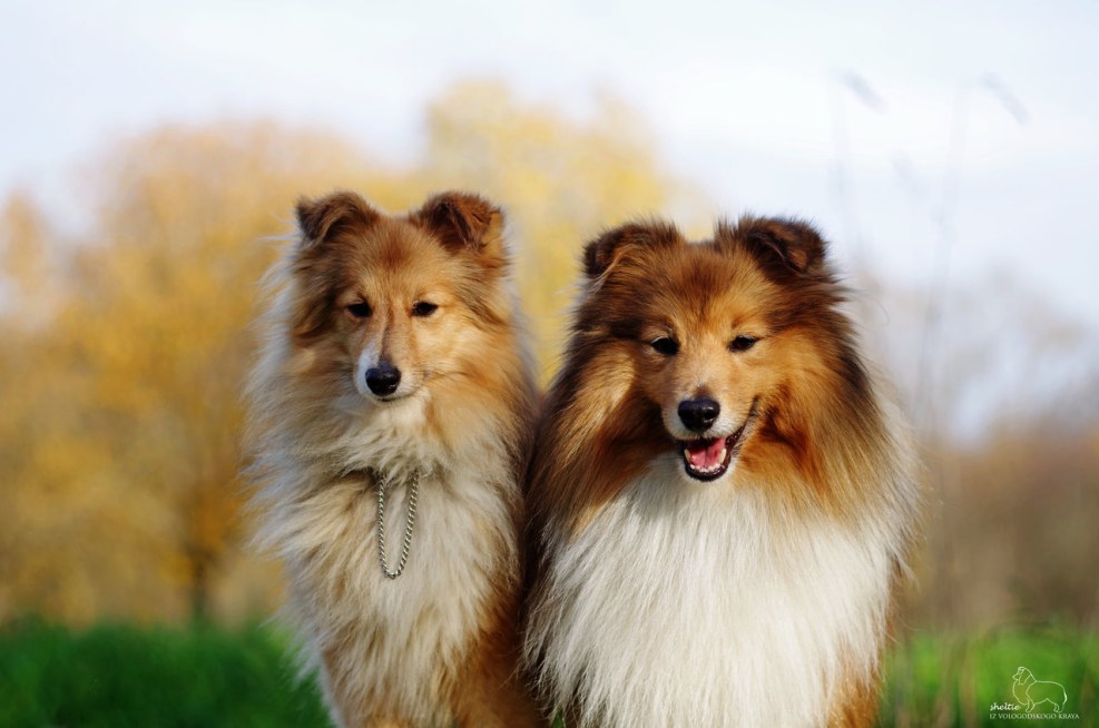 Inspired Marty Cagan