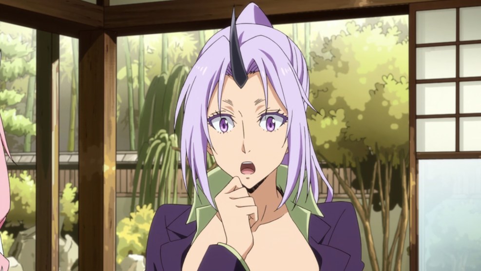 Shion (Mirudakemann)