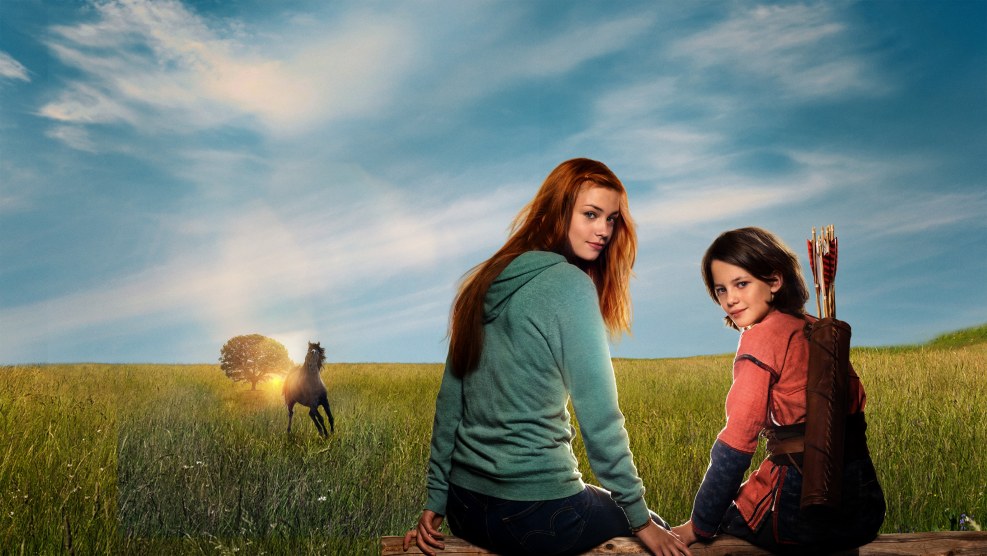 Pictures on the desktop minimalism beautiful flowers