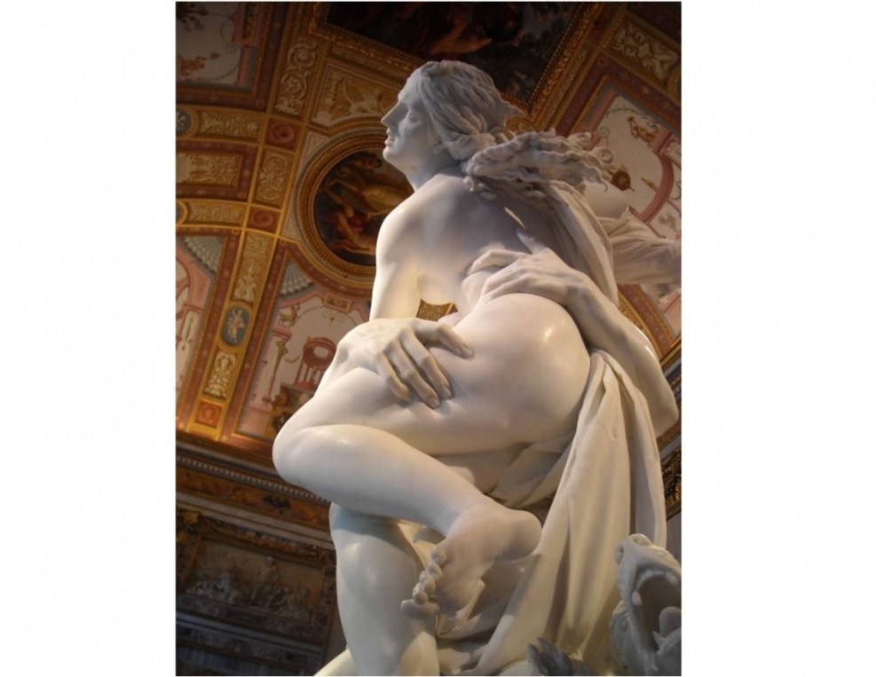 Proserpina Sphinx photo