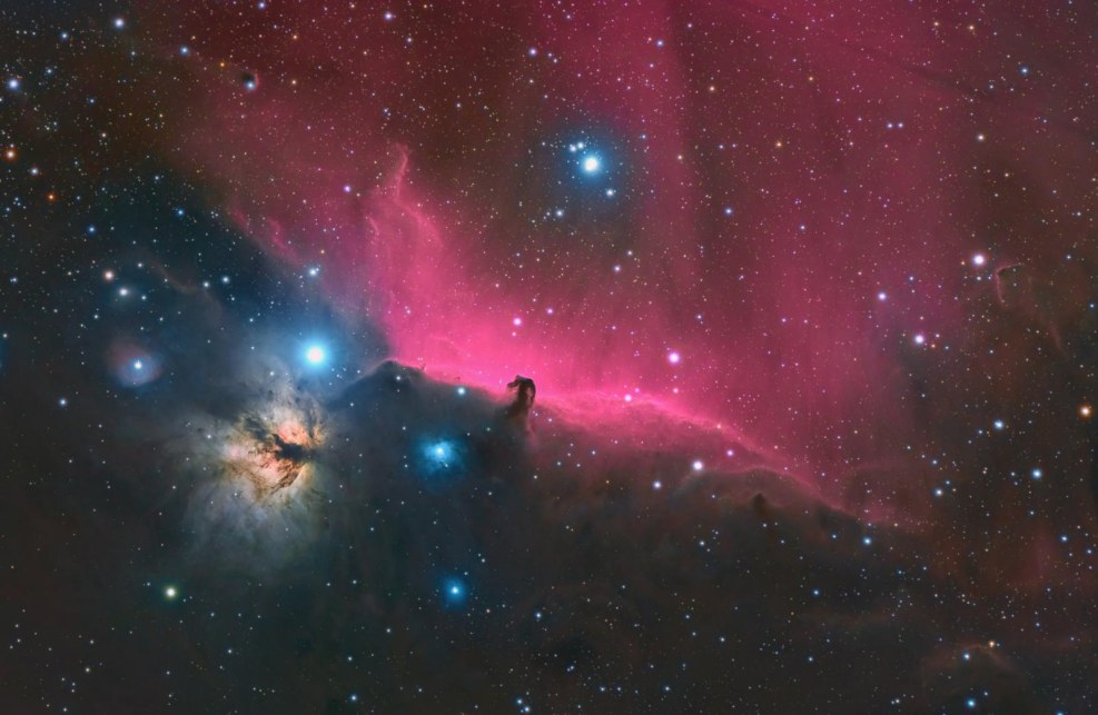 Itiel Fernandez Bodybuilding