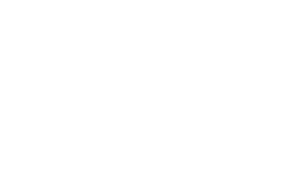 Karen Hollingsworth Artist