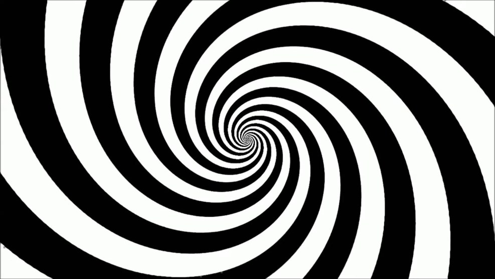 Pizza on a white background