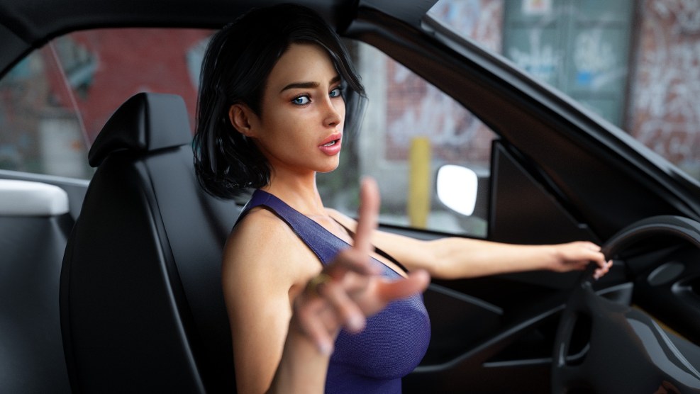 View from the car at night