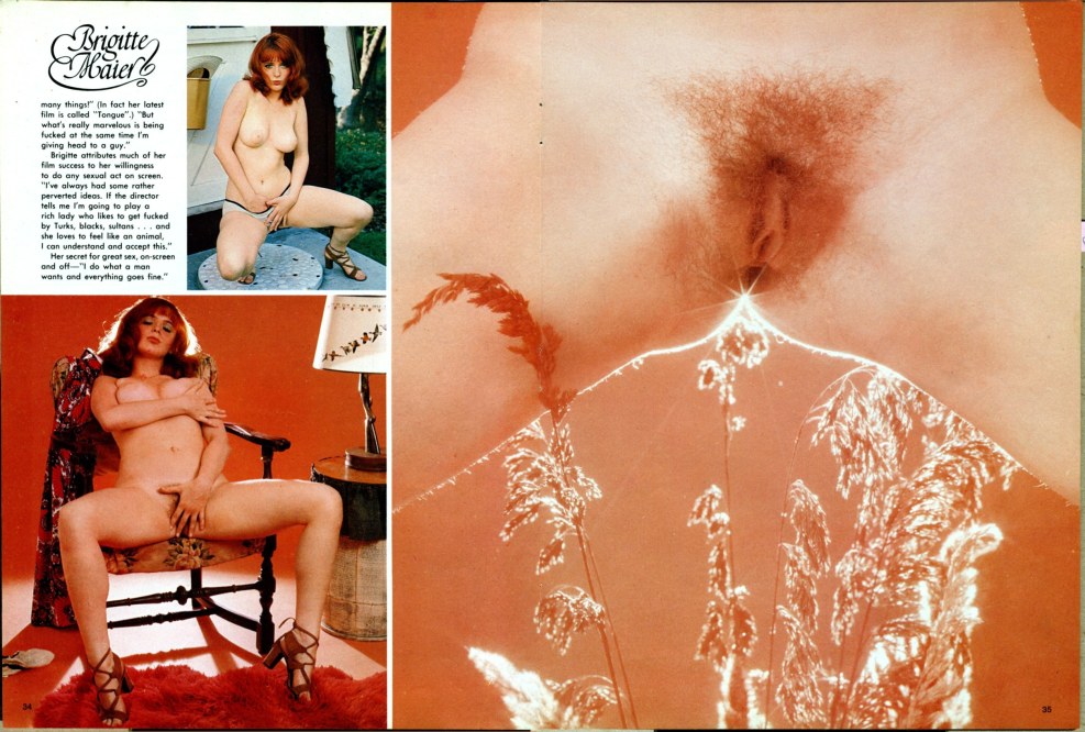 Bridget bi boobs anal