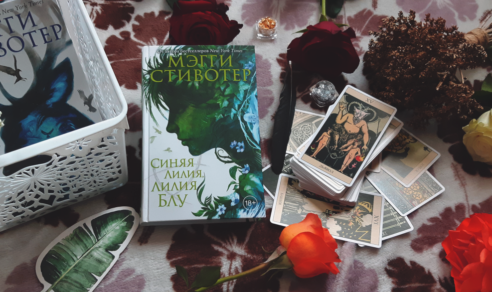 Maggie Stevoter Blue Lilia Blue