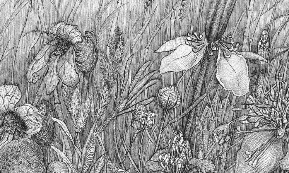 Graphic series of illustrations