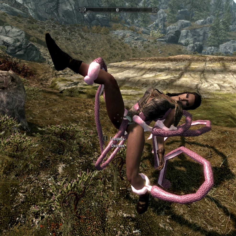 Skyrim Assembly Frost99