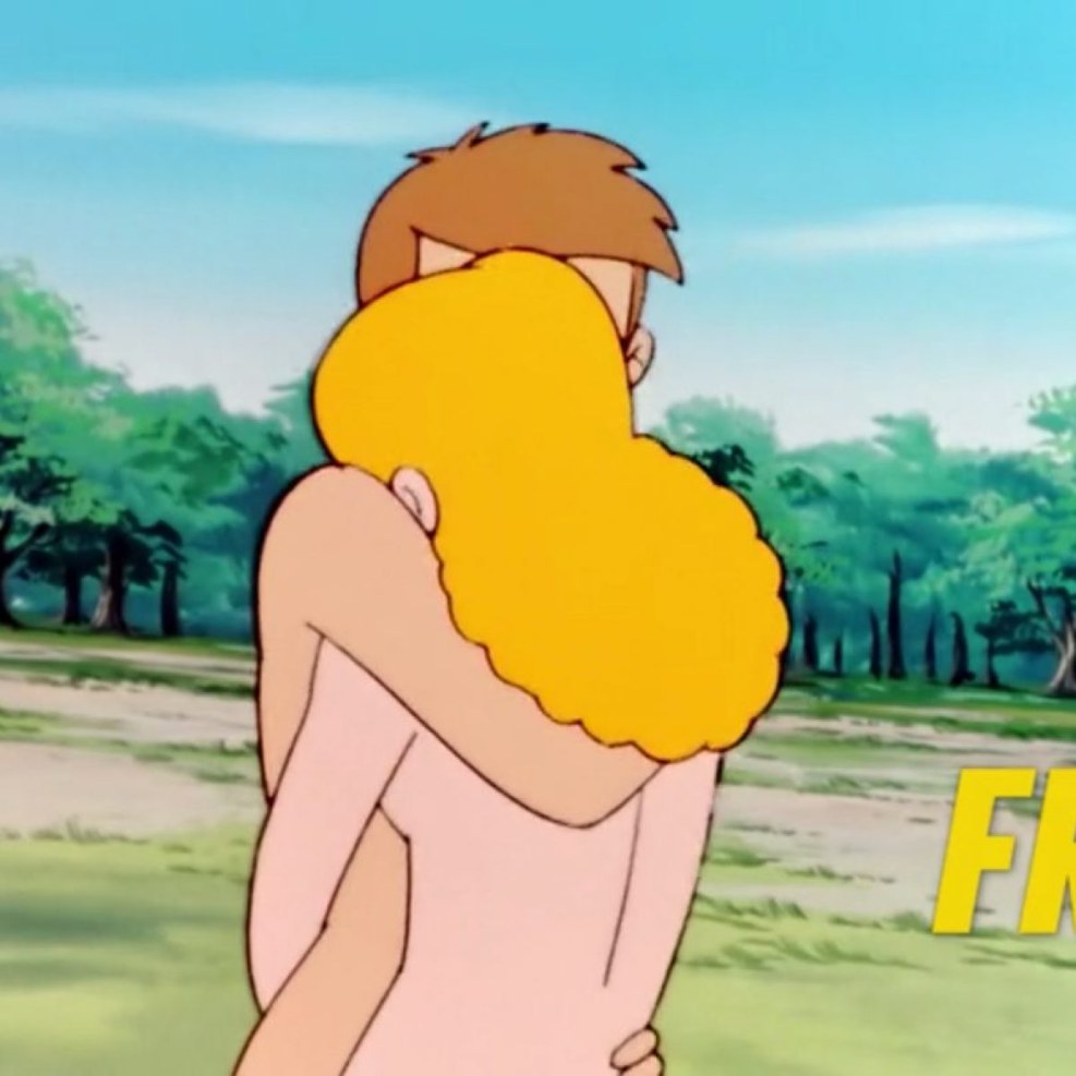 PIN Maglia Journal Description and Scheme