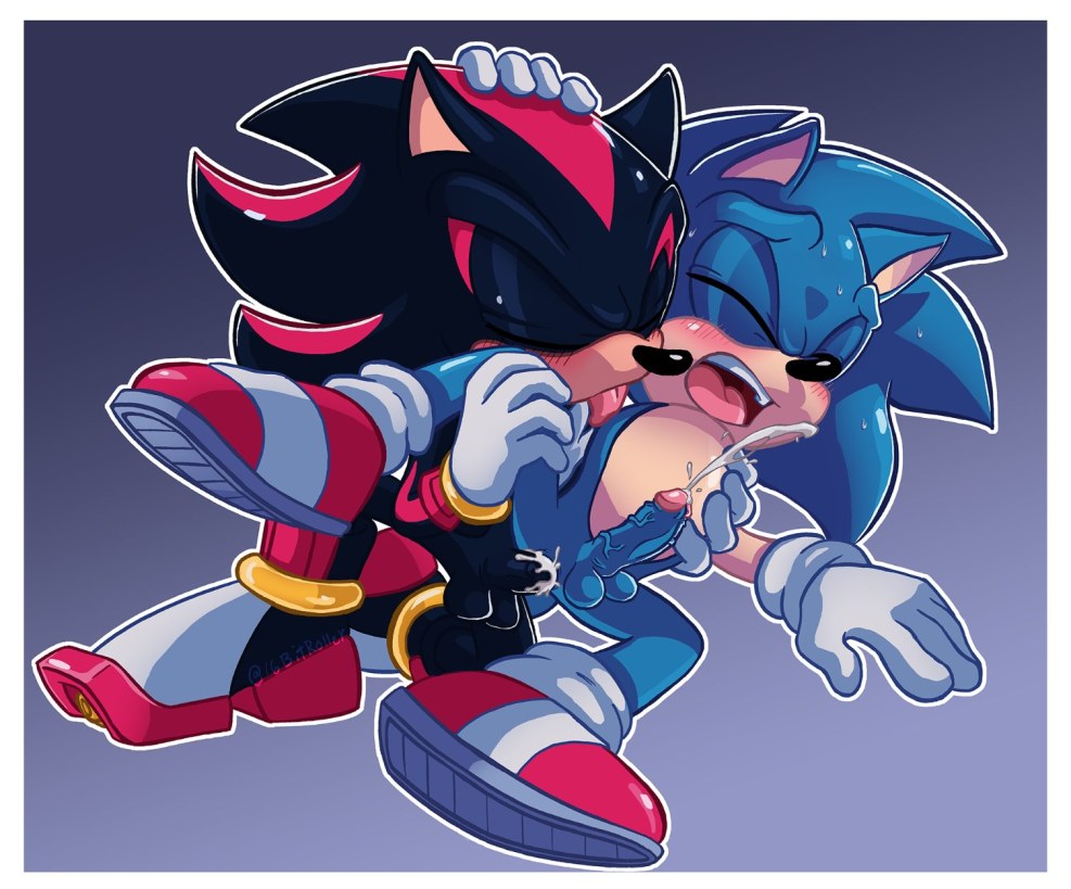 Sonic Hentai Shadow and Blaise