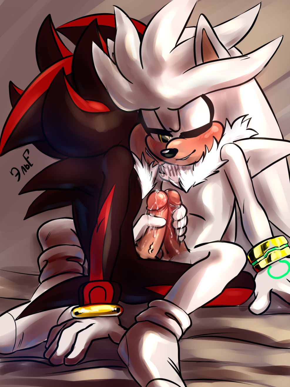 Sonic and Shadow and Silver Hentai