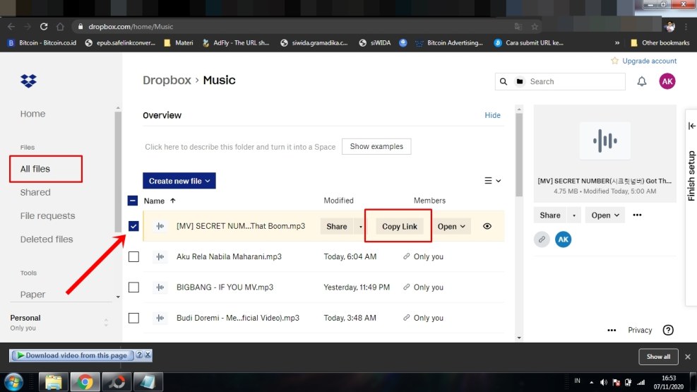 Dropbox for portfolio