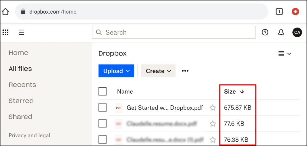 Dropbox boy