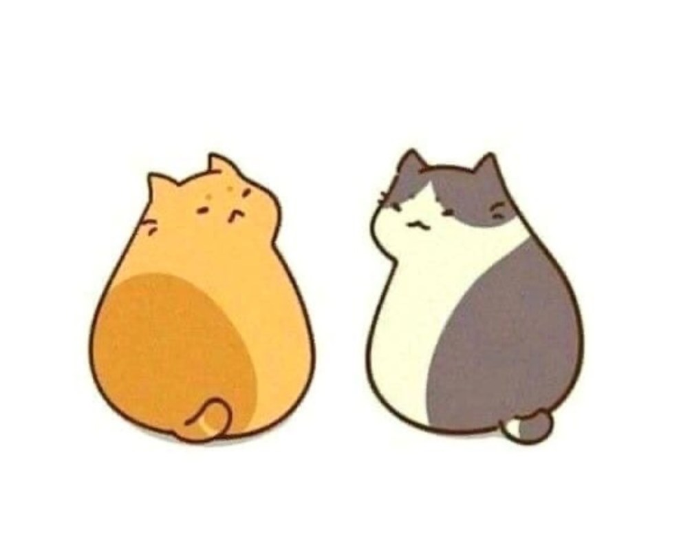 Alena secretarova Rio de Janeiro