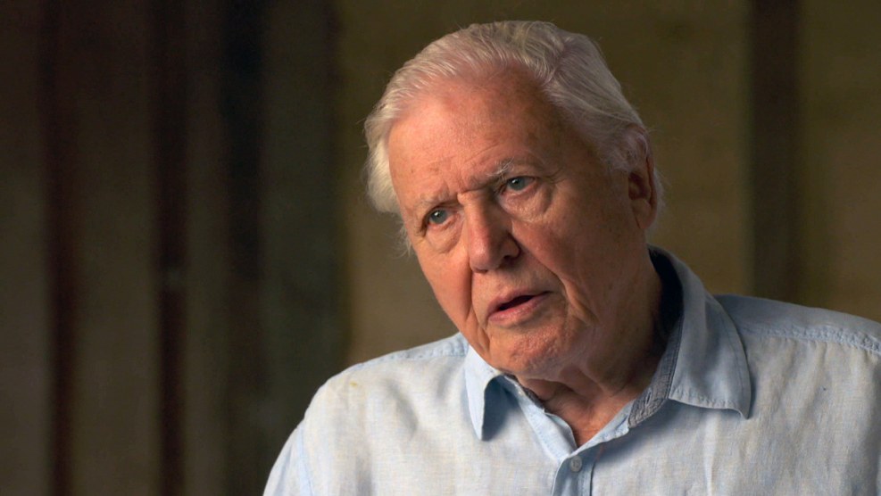 Svetlana Tsaritsyn Veronika