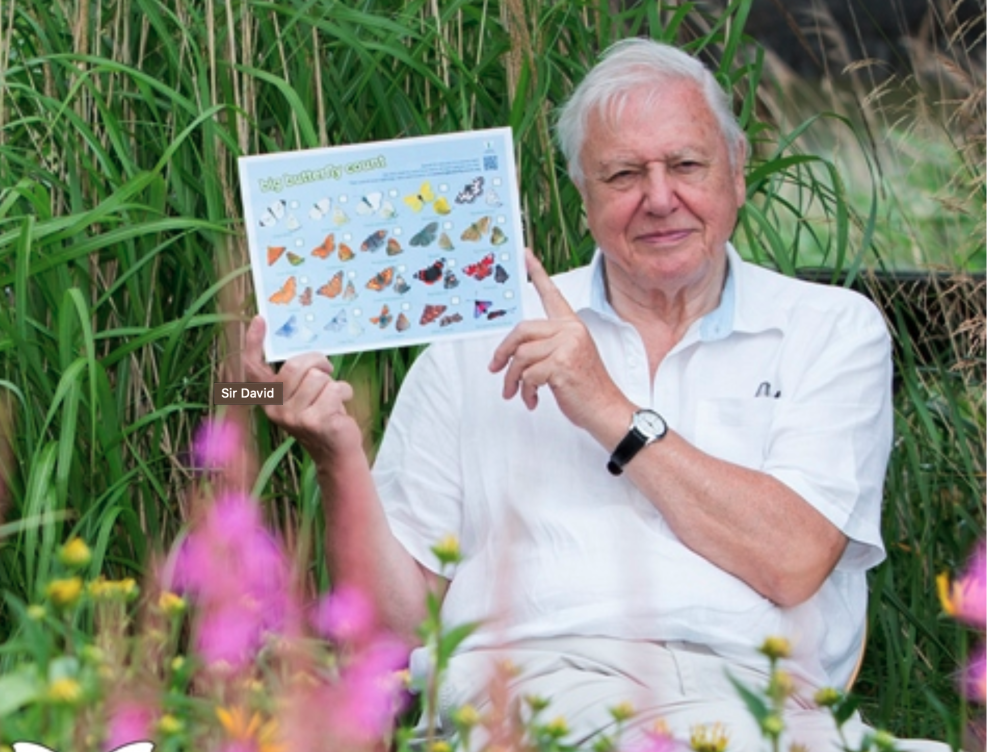 Moths Count! Renowned Conservationist Sir David Attenborough