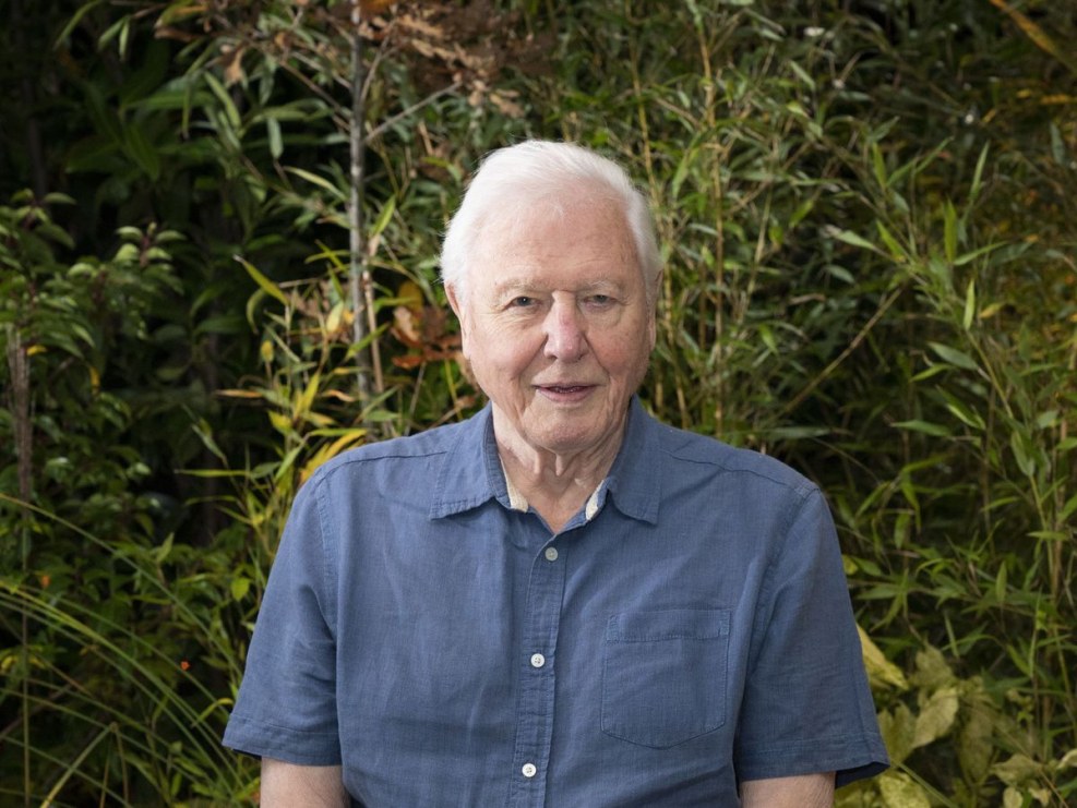 Sir David Biography