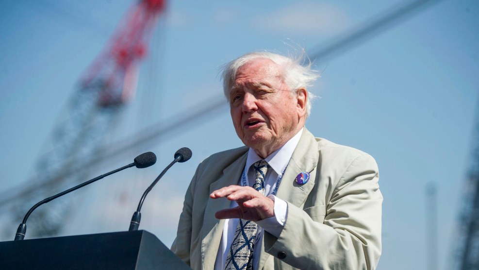 David Naumovich Tombak