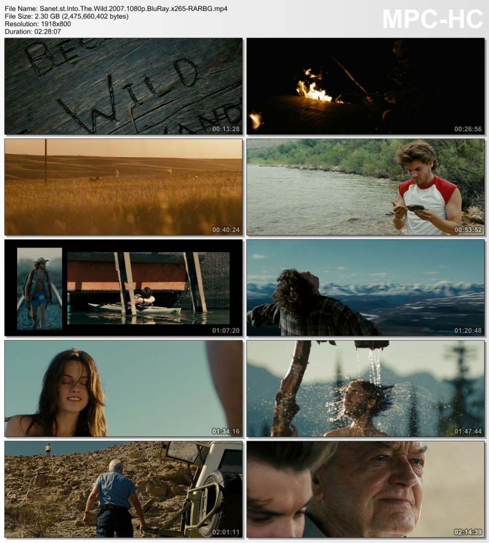 Dicpic Studio Into the Wild