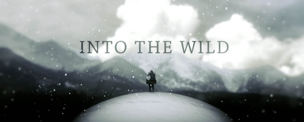 Into the Wild Score