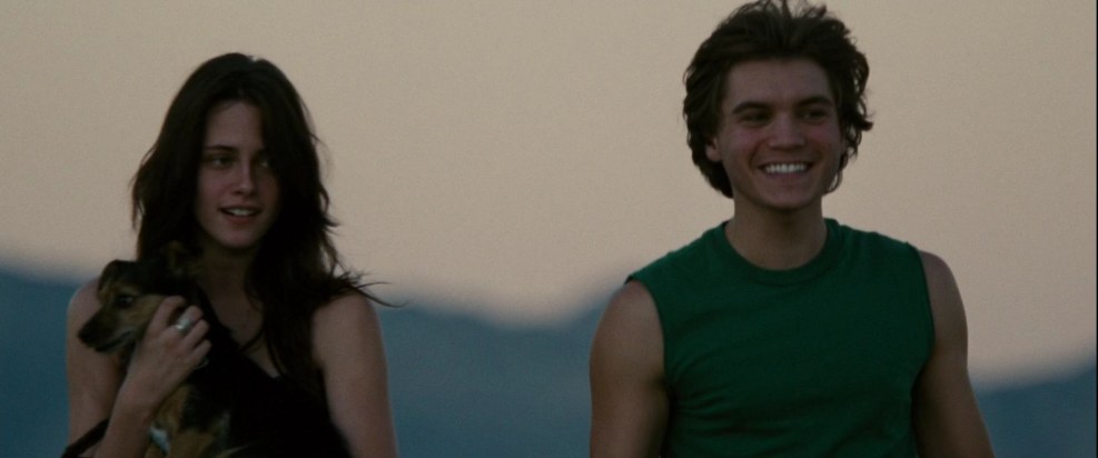 In the wild (2007) cover