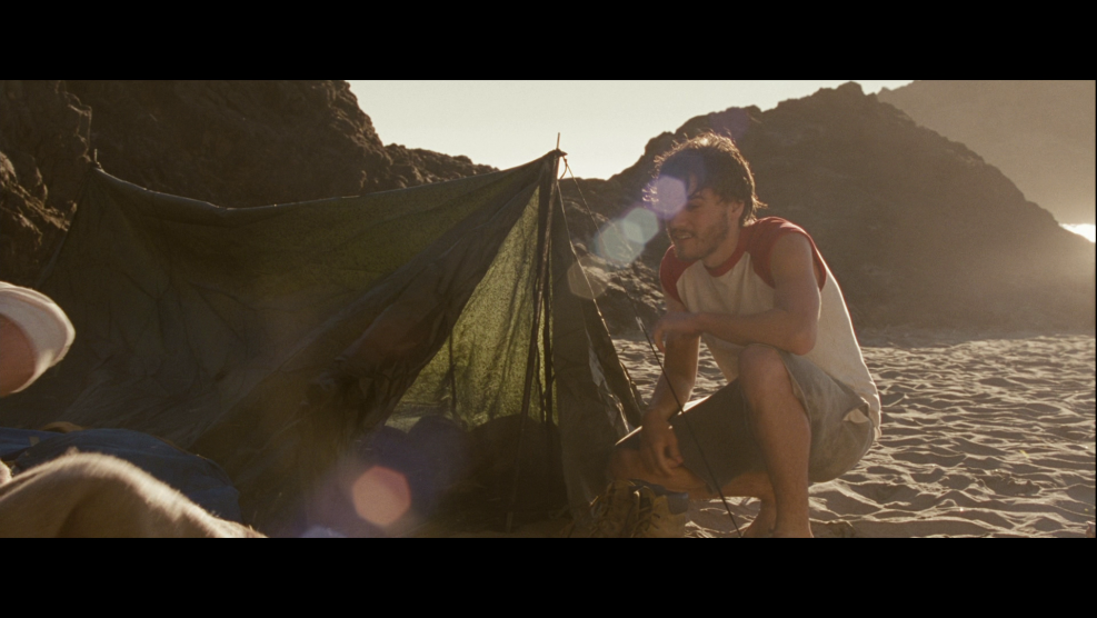 Kristen Stewart in wild