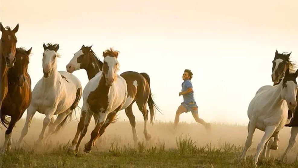 Kristen Stewart in wild