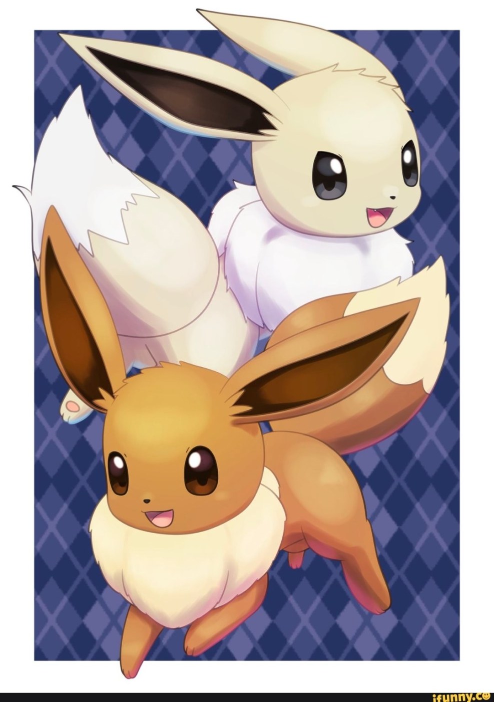 Pokemon Espion Furri