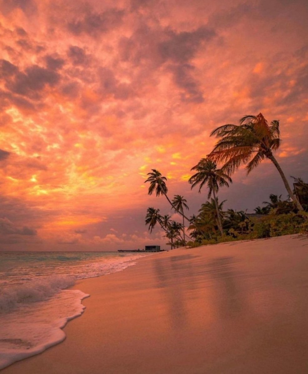 ABB Levit white white