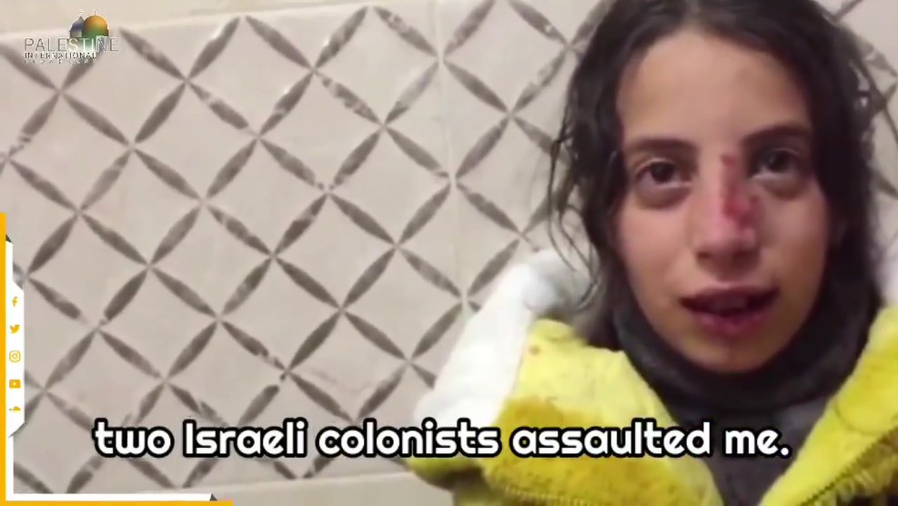 Animated stickers of the bear