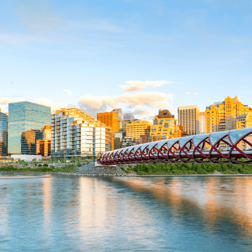 Calgary Callie Canada