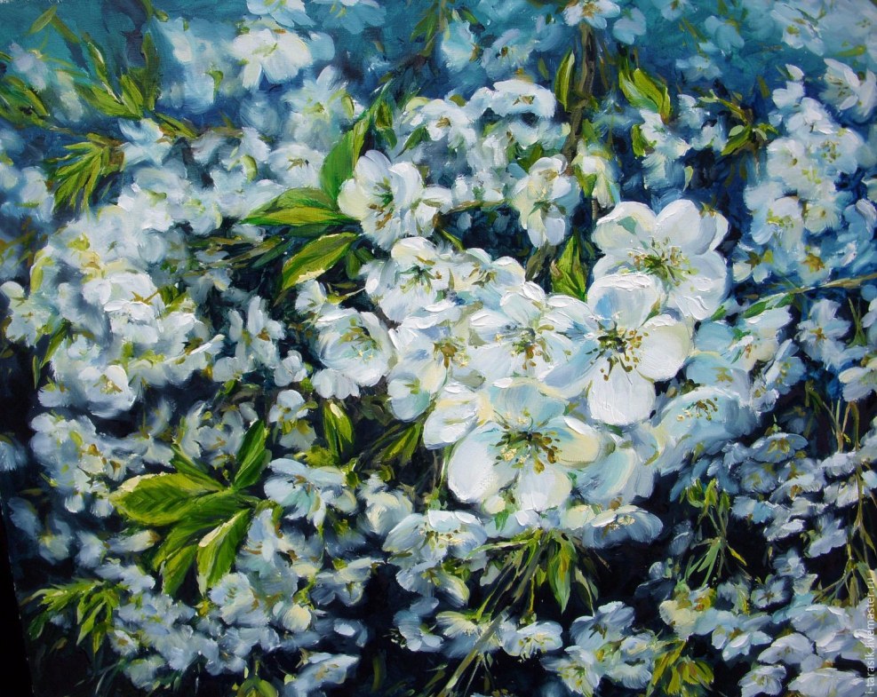 David Bellemere photographer