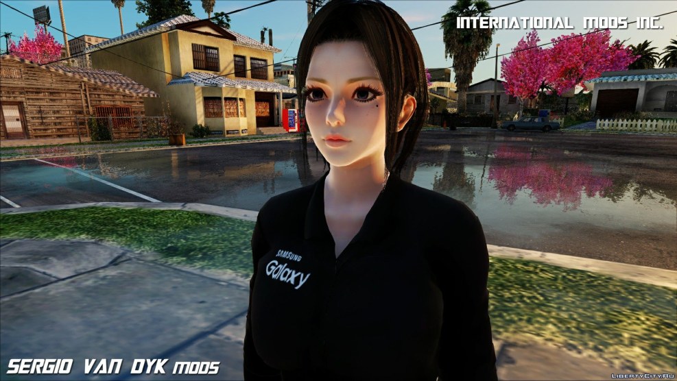 Samsung Assistant SAM R 34