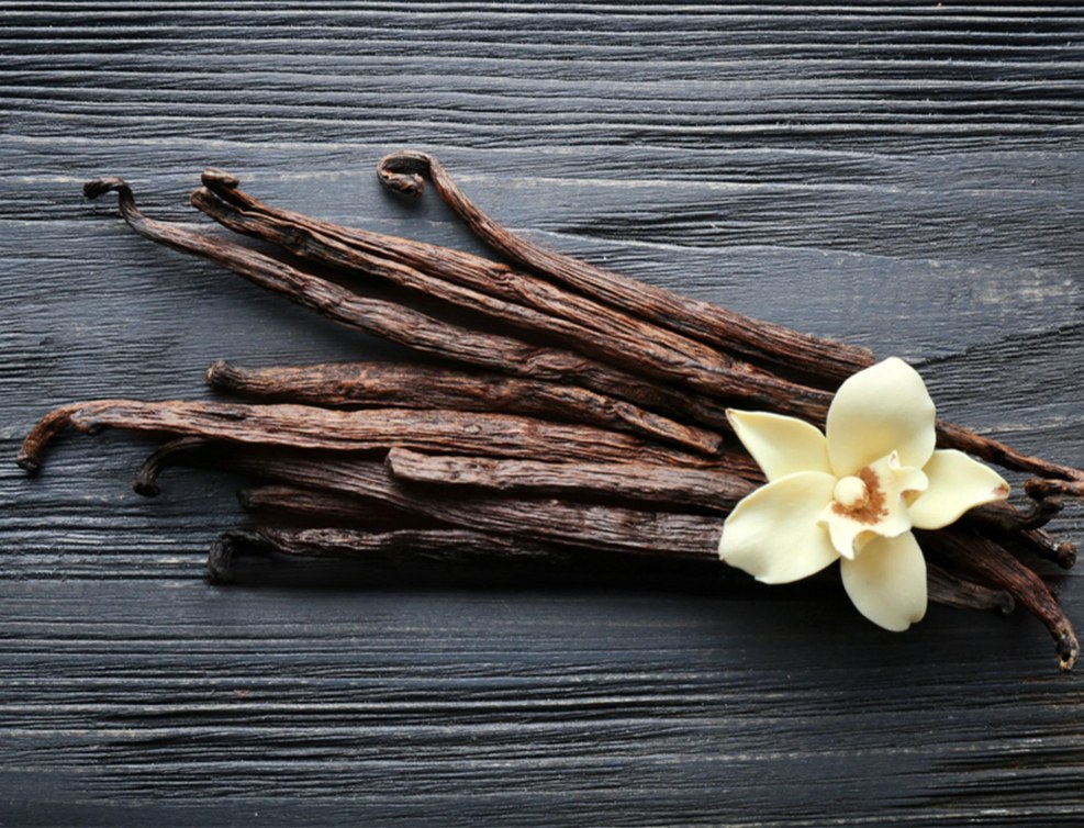 Ginga Tetsudou no Yoru