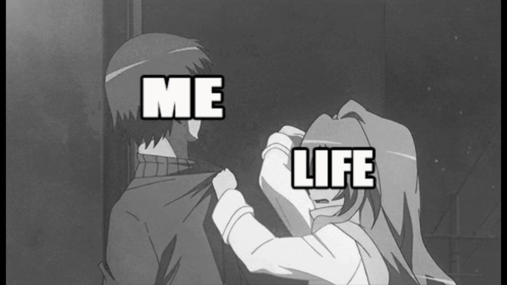 The ships of the corps are new