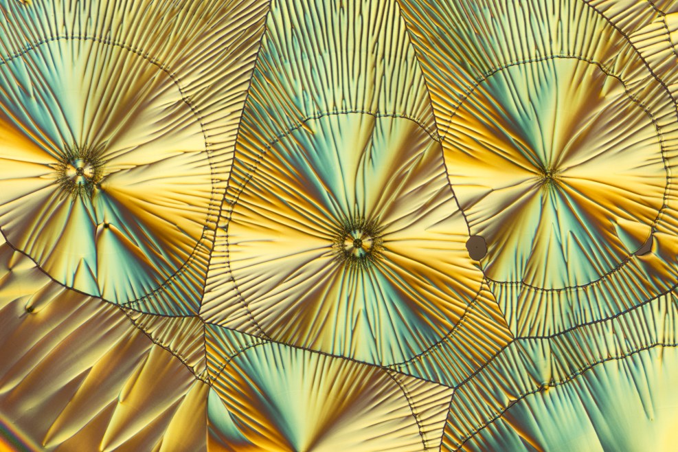 Eglo Led Carpi 95282