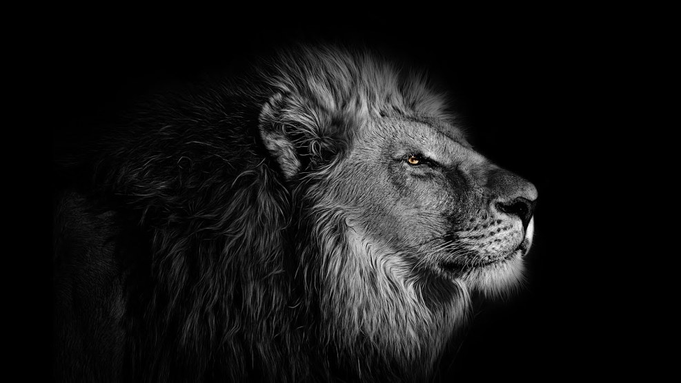 Muriel Telio Pornstar